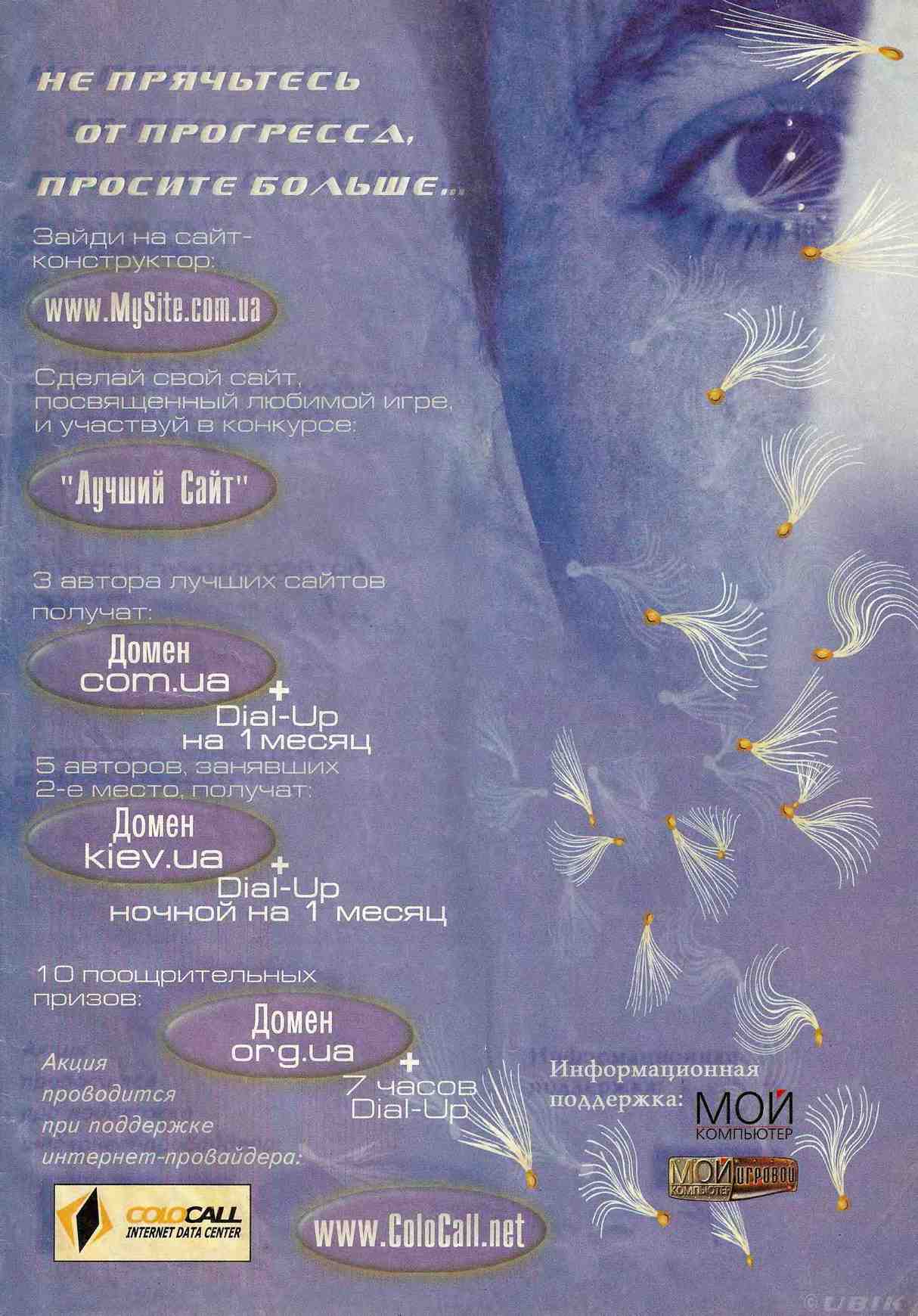 Image 31